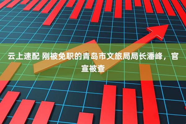 云上速配 刚被免职的青岛市文旅局局长潘峰，官宣被查
