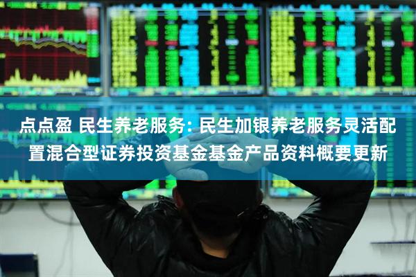 点点盈 民生养老服务: 民生加银养老服务灵活配置混合型证券投资基金基金产品资料概要更新