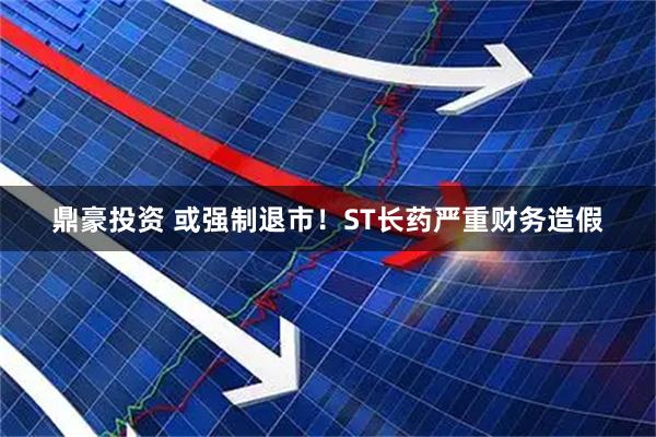 鼎豪投资 或强制退市!ST长药严重财务造假