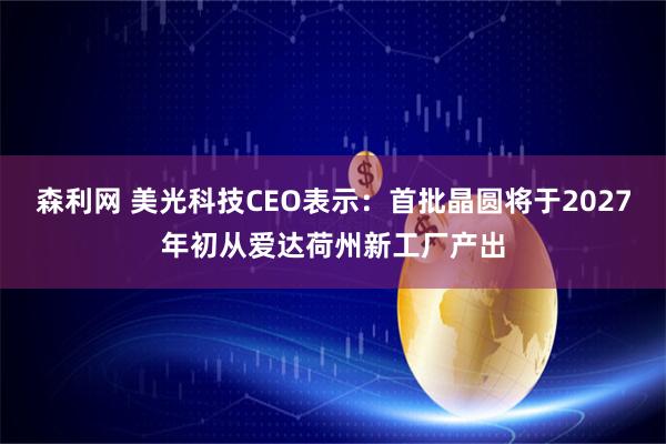 森利网 美光科技CEO表示：首批晶圆将于2027年初从爱达荷州新工厂产出