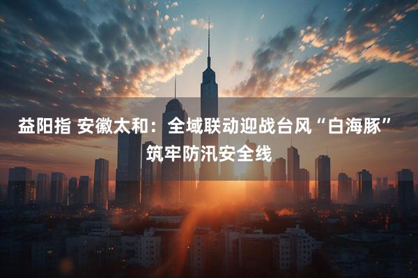 益阳指 安徽太和：全域联动迎战台风“白海豚” 筑牢防汛安全线