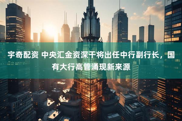宇奇配资 中央汇金资深干将出任中行副行长,国有大行高管涌现新来源